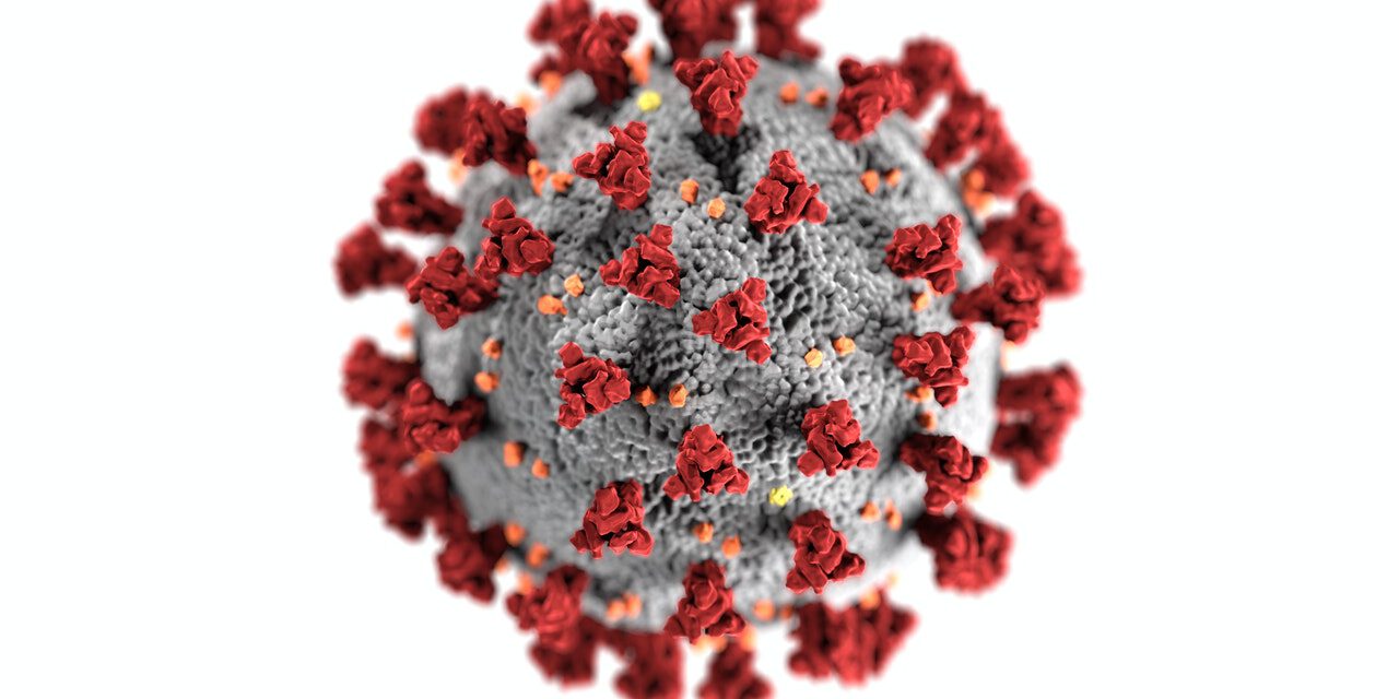 koronavirus