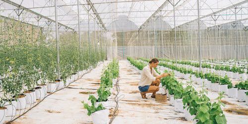 pexels-photo-7299994