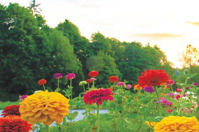 Krajevne-novice-julij-2021