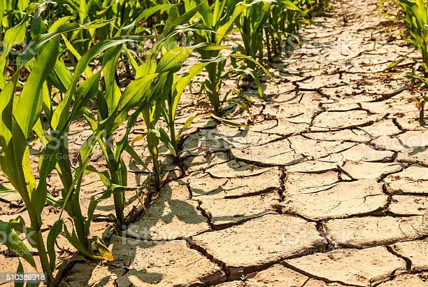 istockphoto-510386918-612×612