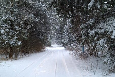snow-105582__340
