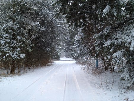 snow-105582__340