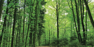 Krajevne novice – april 2023