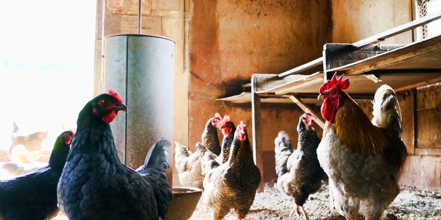 pexels-brett-jordan-840111