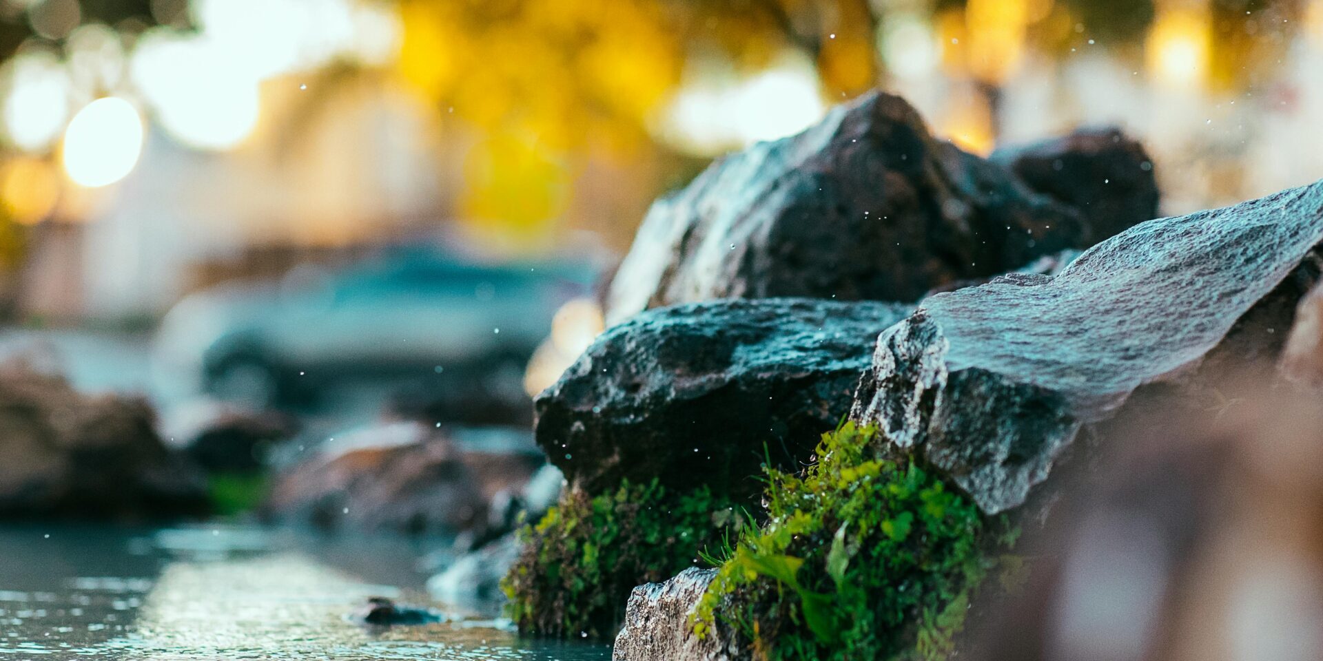 pexels-erxmart-2233391