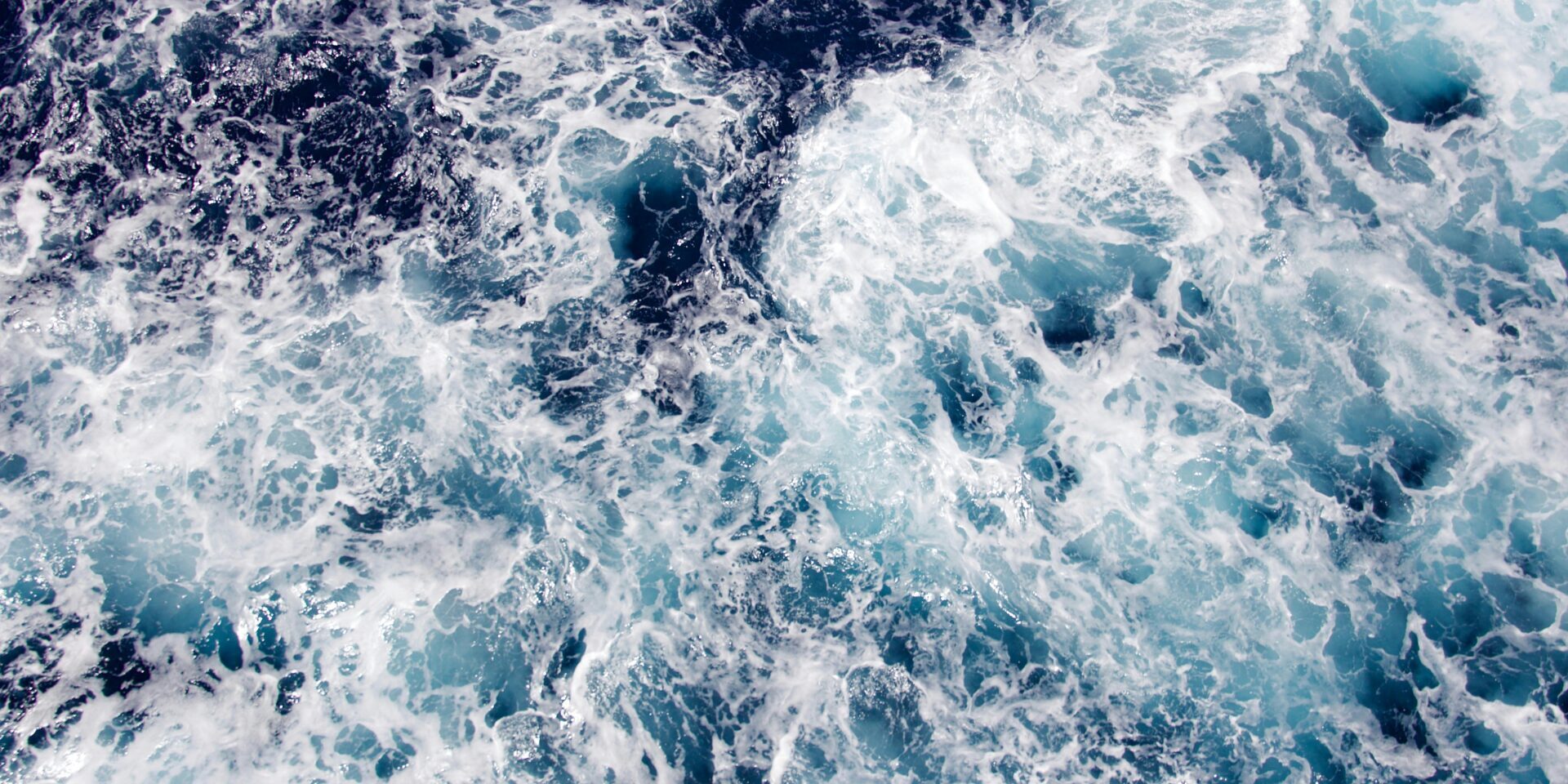 pexels-matthew-barra-178916-812958